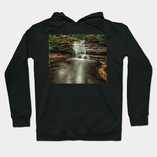 Lower Mill Creek Hoodie by PaulLu